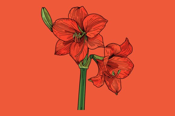 Amaryllis: A Vibrant Design Element for Modern Business Needs