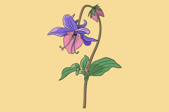 Columbine in Modern Design: A Versatile Creative Element