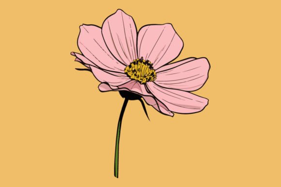 Cosmos: A Universal Design Element for Modern Branding and Merchandise