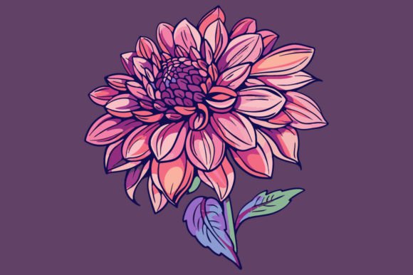 Embracing the Beauty of Dahlia: A High-Quality Design for Modern Creativity and Business