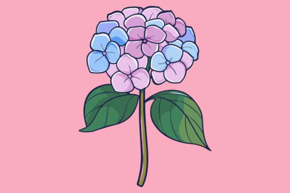 Hydrangea Design for Creative Projects