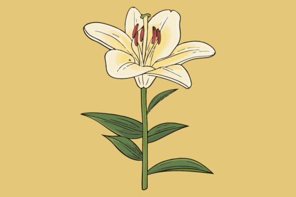 Lily: A Timeless Design Element for Modern Business and Creative Projects