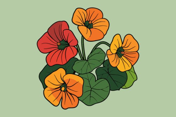 Nasturtium Design for Creative Projects