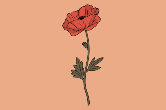 Poppy Design for Business and Creative Use